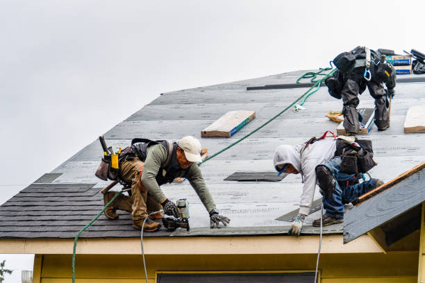 Professional Roof Replacement technician working in Mountain, WI